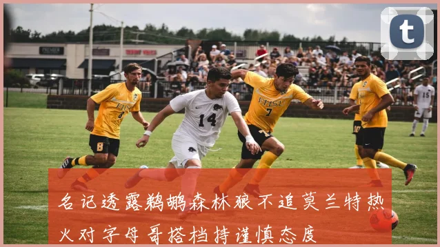 名记透露鹈鹕森林狼不追莫兰特热火对字母哥搭档持谨慎态度